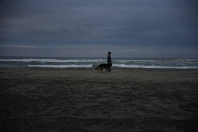Je hond is vrijwel onzichtbaar tijdens de avondwandeling