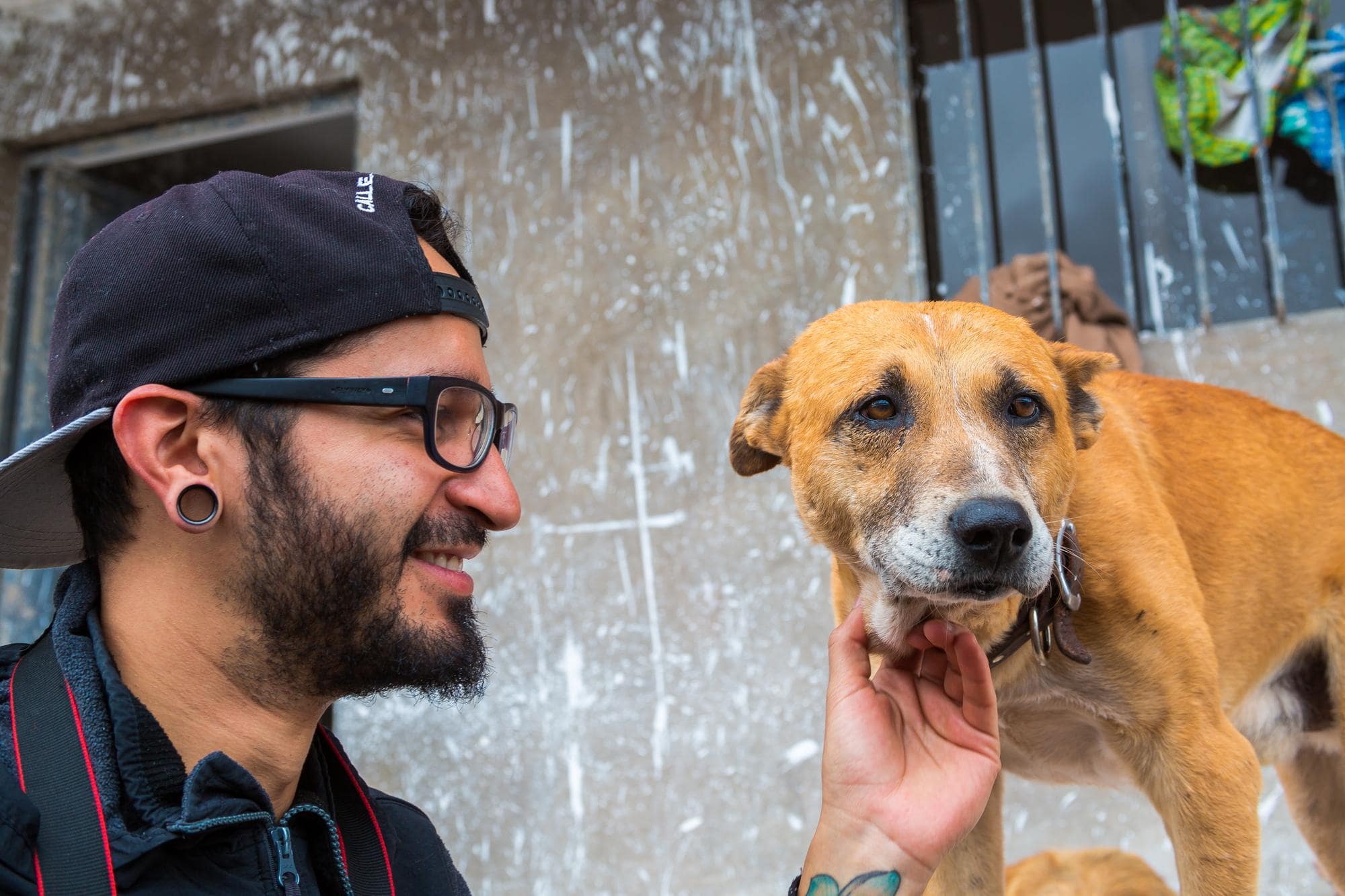 Als je een hondenliefhebber bent, waarom zet je je passie dan niet om in winst door een hondendagverblijf te beginnen? Dit is hoe: